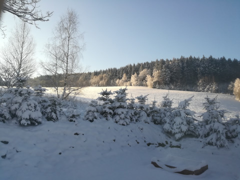 Okolí chaty v zimě